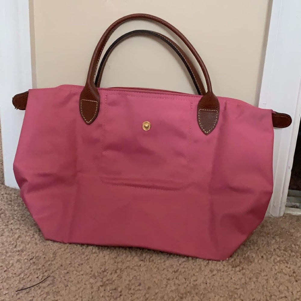 Small Longchamp Handbag in Fig